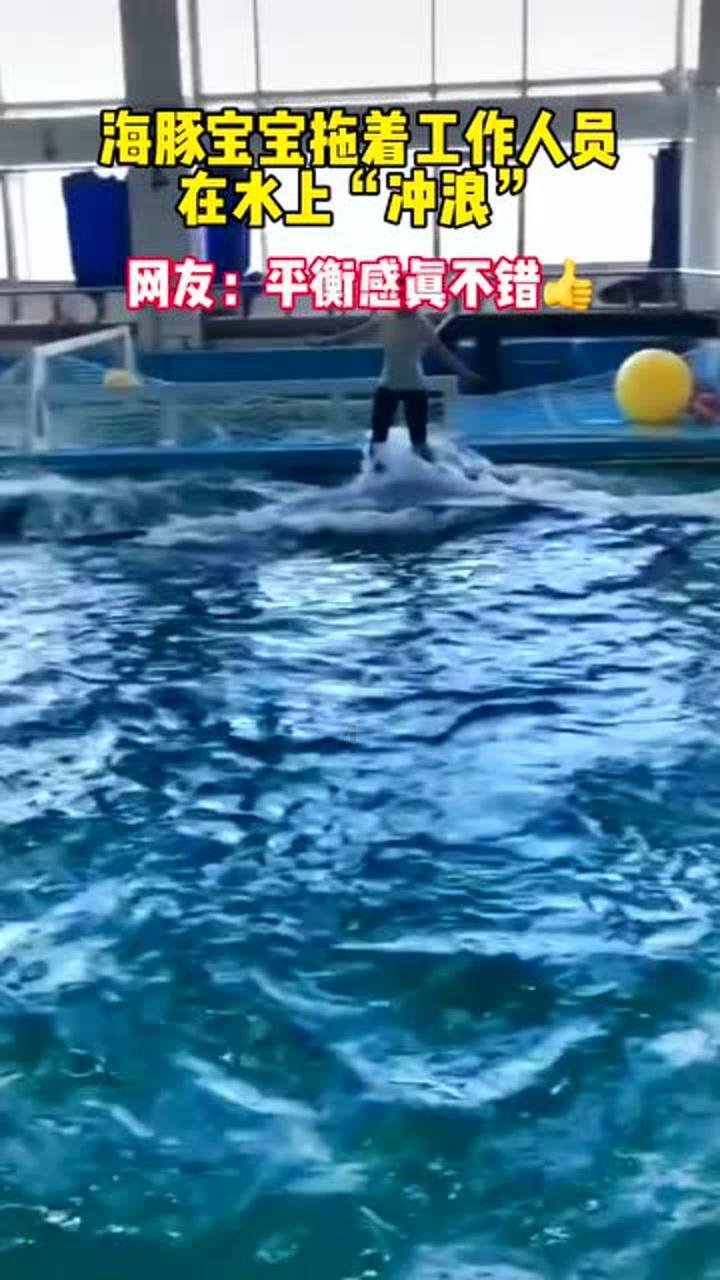 剑勇传奇忍者龙剑传Z