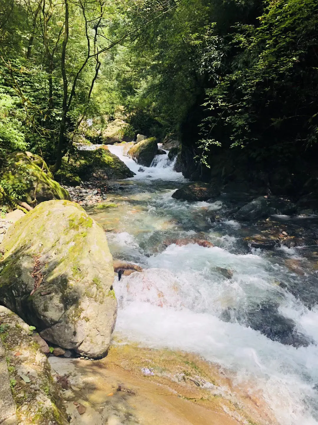 收评:沪指