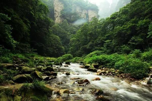 多少钱的破壁机才算好？揭露商家常见的四大智商税套路